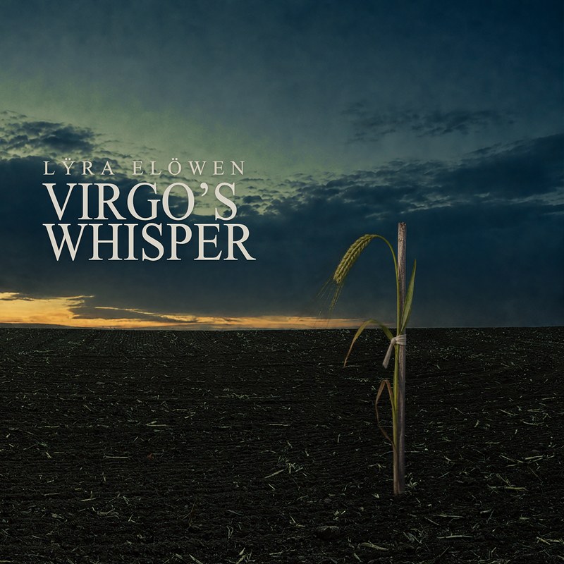 Virgo&rsquo;s Whisper &mdash; a single stalk of wheat staked upright in a ploughed field at dusk